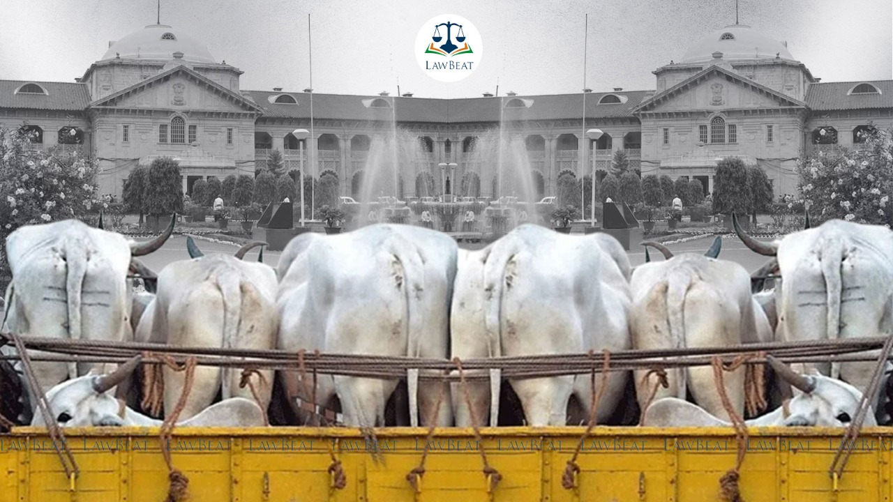 No need for a permit to transport cow(s), its progeny within Uttar Pradesh; vehicle cannot be confiscated on that ground: Allahabad High Court No need for a permit to transport cow(s), its progeny within Uttar Pradesh; vehicle cannot be confiscated on that ground: Allahabad High Court